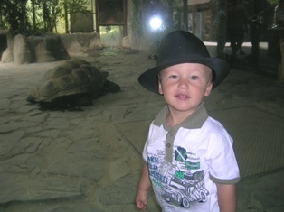 V zoologick� zahrad�